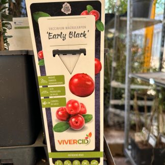 VACCINIUM MACROCARPUM (ARÁNDANO ROJO)