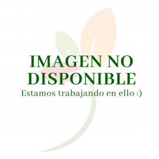 ACTINIDIA DELICIOSA (KIWI) HEMBRA